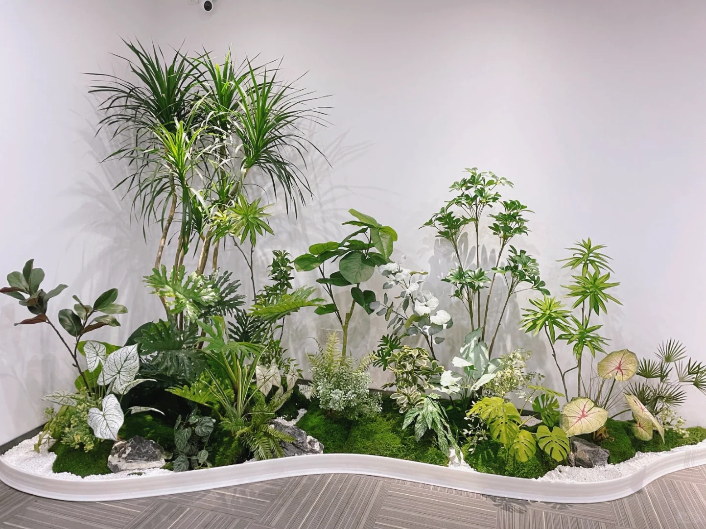 专业鄞州花卉出租设计，点亮您的空间之美！